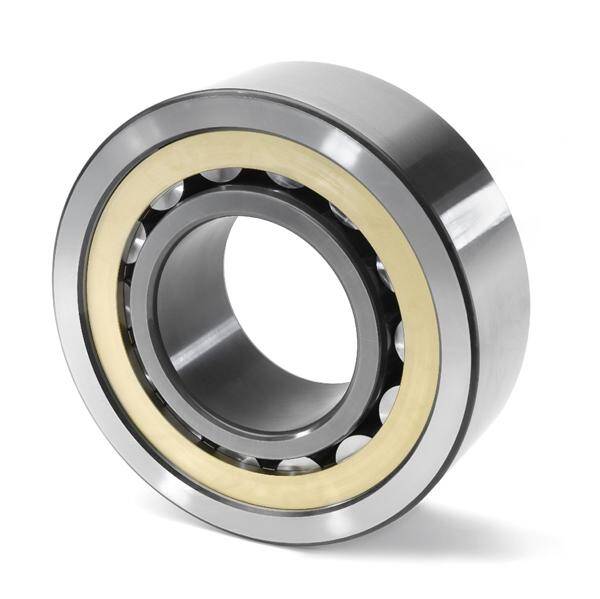 CBC Bearings Cylindrical Roller Bearing